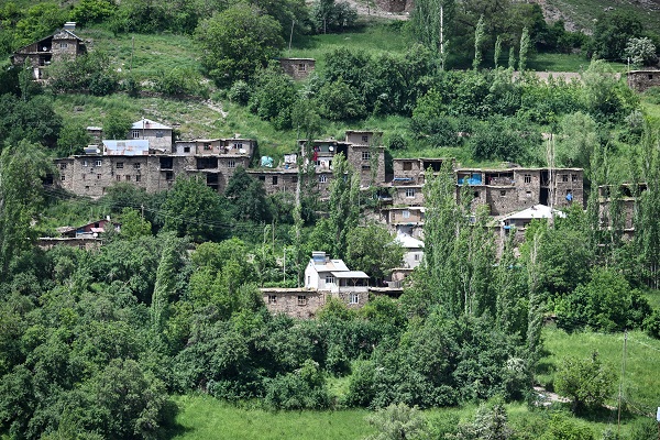 Foto - Yağmurlar doğayı renklendi
