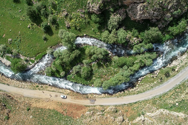 Foto - Yağmurlar doğayı renklendi