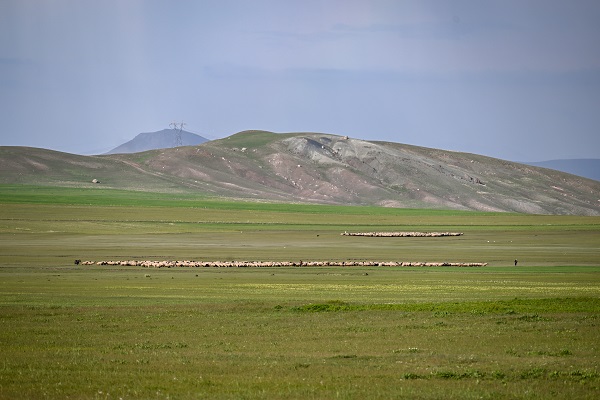 Foto - Yağmurlar doğayı renklendi