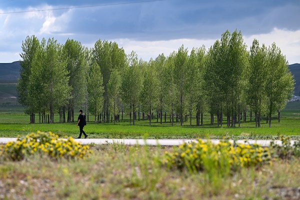 Foto - Yağmurlar doğayı renklendi