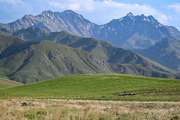 Foto - Yağmurlar doğayı renklendi