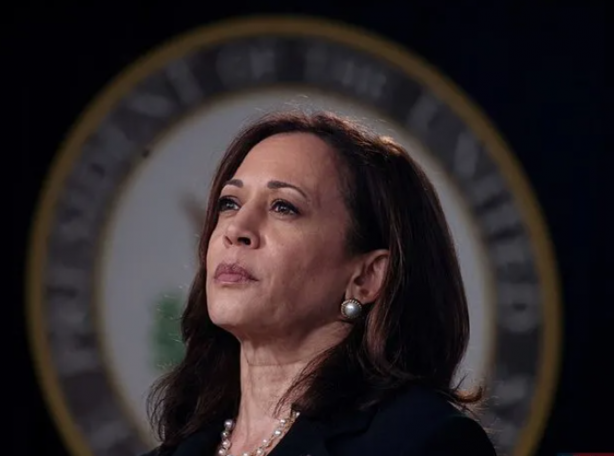 Foto - Yahudi dostu Türk düşmanı Kamala Harris kimdir?