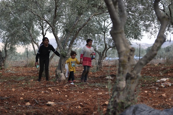 Foto - Yahudilerin baskıları altında hasat 