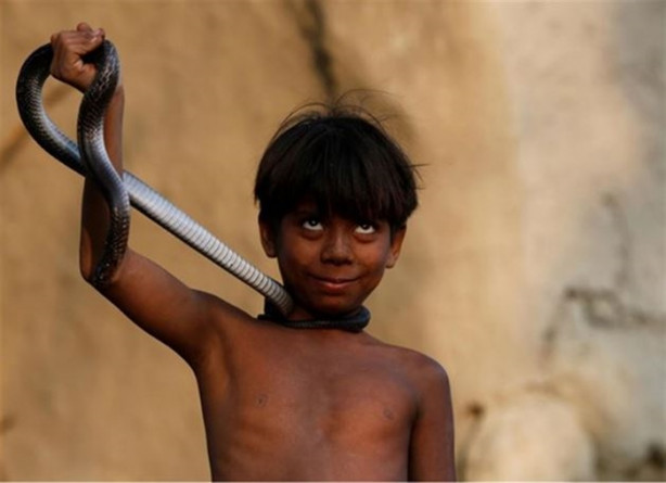 Foto - Yakalayıp dişlerini söküyorlar!