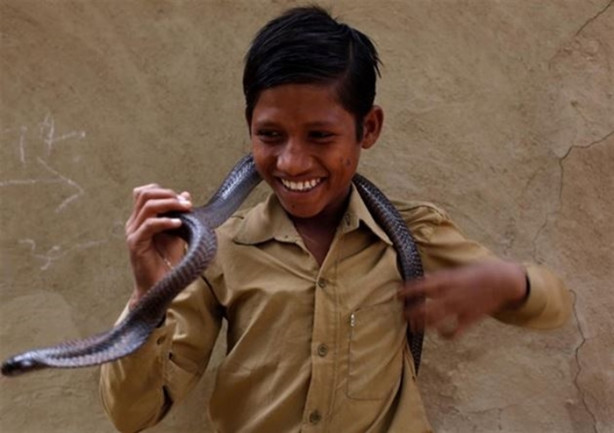 Foto - Yakalayıp dişlerini söküyorlar!
