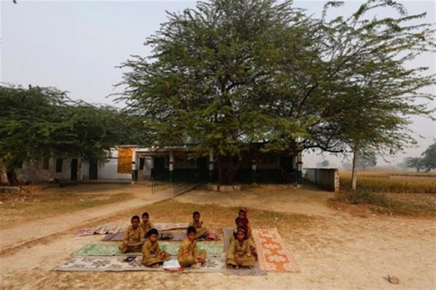 Foto - Yakalayıp dişlerini söküyorlar!