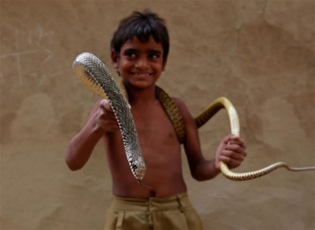 Foto - Yakalayıp dişlerini söküyorlar!