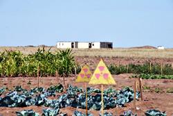 Foto - Yakınına bile yaklaşmamak gerekiyor! Çok ama çok tehlikeli...