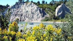 Foto - Yakınına bile yaklaşmamak gerekiyor! Çok ama çok tehlikeli...