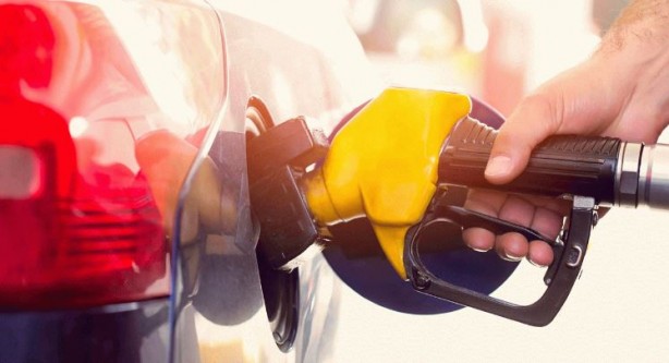 Foto - Yakıtınıza ortak olan bakteriler doğayı kurtaracak!