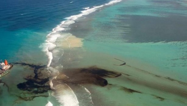 Foto - Yakıtınıza ortak olan bakteriler doğayı kurtaracak!