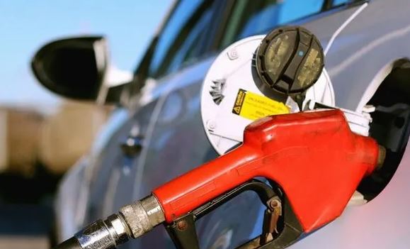 Foto - Yakıtınıza ortak olan bakteriler doğayı kurtaracak!