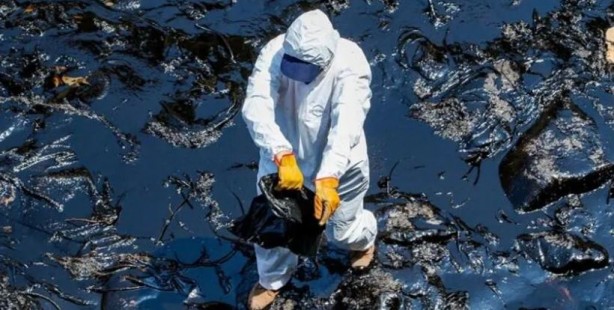 Foto - Yakıtınıza ortak olan bakteriler doğayı kurtaracak!