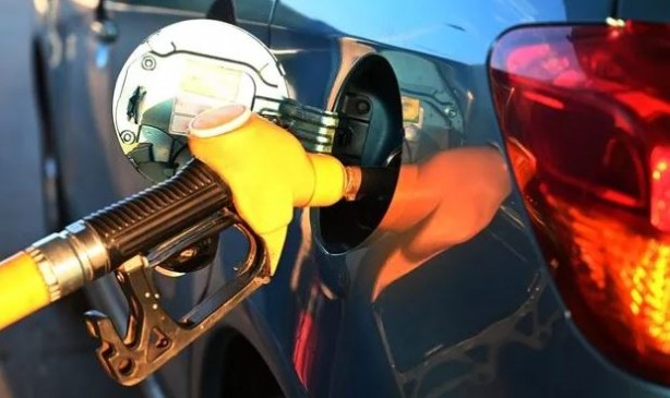 Foto - Yakıtınıza ortak olan bakteriler doğayı kurtaracak!