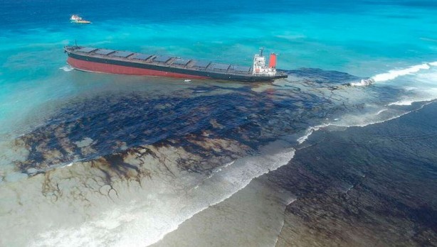 Foto - Yakıtınıza ortak olan bakteriler doğayı kurtaracak!