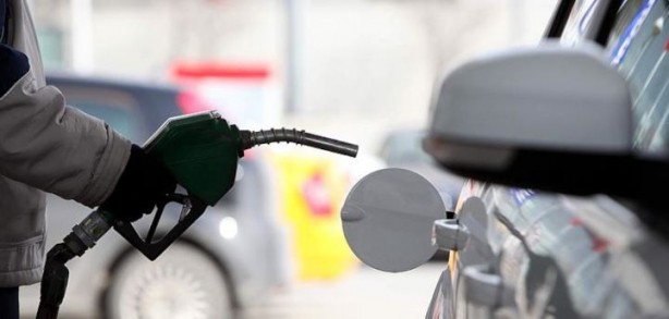 Foto - Yakıtınıza ortak olan bakteriler doğayı kurtaracak!