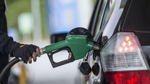 Foto - Yakıtınıza ortak olan bakteriler doğayı kurtaracak!