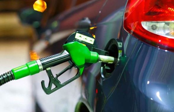 Foto - Yakıtınıza ortak olan bakteriler doğayı kurtaracak!