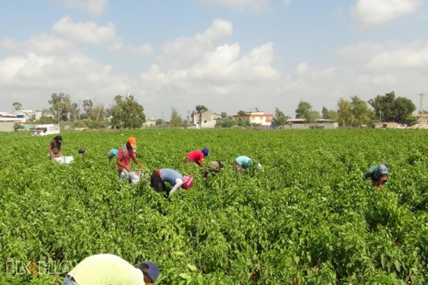 Foto - Yaklaşan kriz için uyardı ve yetkililere çağrı yaptı: Yeni dönem için acilen önlem almalıyız