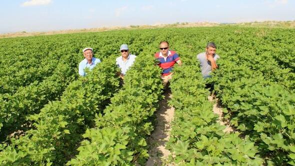 Foto - Yaklaşan kriz için uyardı ve yetkililere çağrı yaptı: Yeni dönem için acilen önlem almalıyız