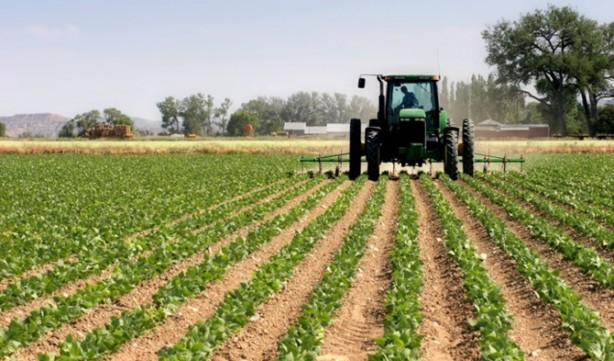 Foto - Yaklaşan kriz için uyardı ve yetkililere çağrı yaptı: Yeni dönem için acilen önlem almalıyız