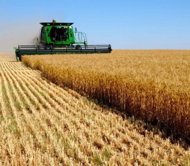 Foto - Yaklaşan kriz için uyardı ve yetkililere çağrı yaptı: Yeni dönem için acilen önlem almalıyız