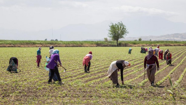 Foto - Yaklaşan kriz için uyardı ve yetkililere çağrı yaptı: Yeni dönem için acilen önlem almalıyız