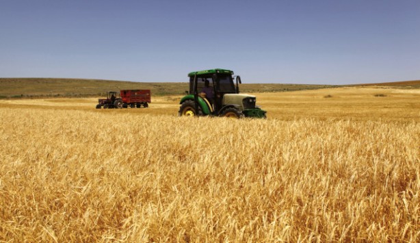 Foto - Yaklaşan kriz için uyardı ve yetkililere çağrı yaptı: Yeni dönem için acilen önlem almalıyız