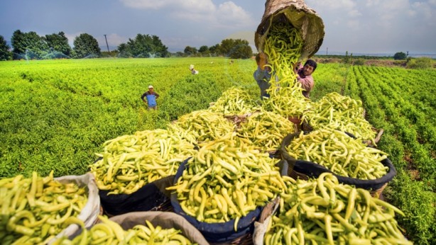 Foto - Yaklaşan kriz için uyardı ve yetkililere çağrı yaptı: Yeni dönem için acilen önlem almalıyız