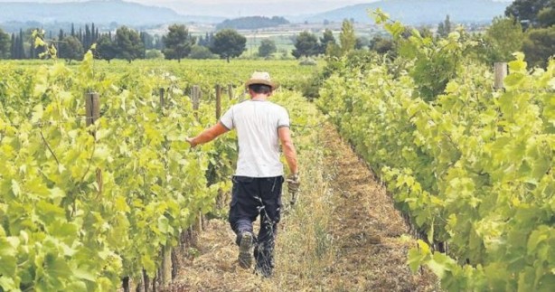 Foto - Yaklaşan kriz için uyardı ve yetkililere çağrı yaptı: Yeni dönem için acilen önlem almalıyız