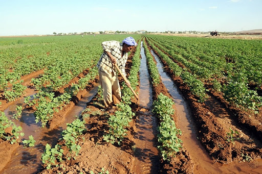 Foto - Yaklaşan kriz için uyardı ve yetkililere çağrı yaptı: Yeni dönem için acilen önlem almalıyız