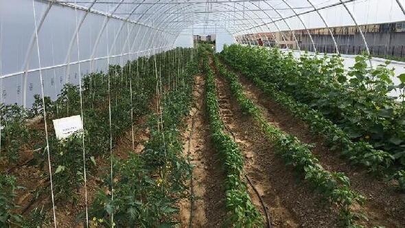 Foto - Yaklaşan kriz için uyardı ve yetkililere çağrı yaptı: Yeni dönem için acilen önlem almalıyız