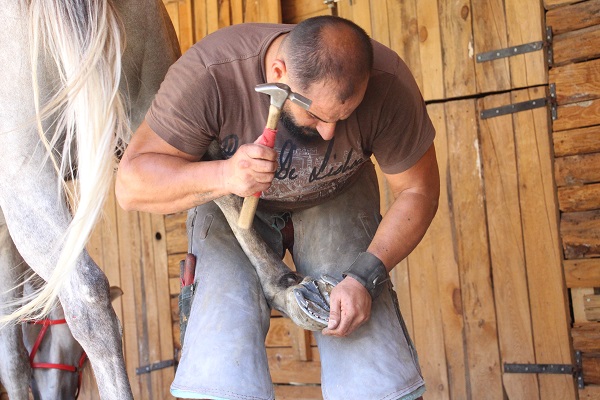 Foto - Yalnızca boş vakitlerinde bu işi yapıyor! Aylık kazancı 60 bini buluyor