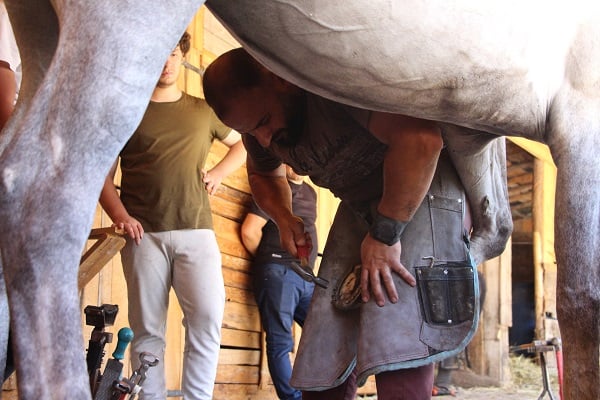 Foto - Yalnızca boş vakitlerinde bu işi yapıyor! Aylık kazancı 60 bini buluyor