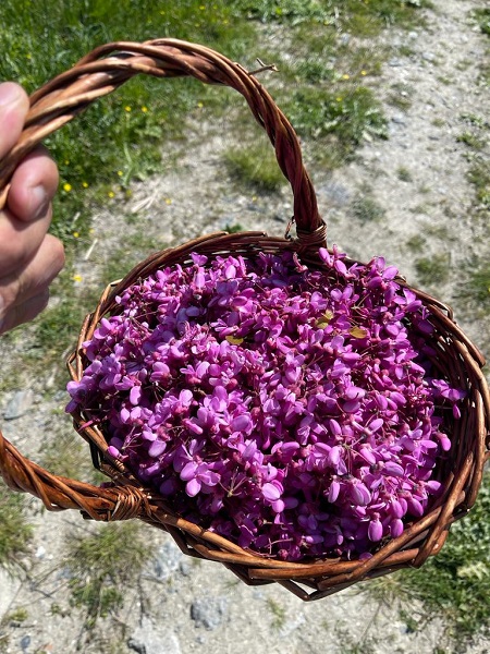 Foto - Yalnızca İstanbul’un sembolü değil! Adeta tam bir şifa deposu