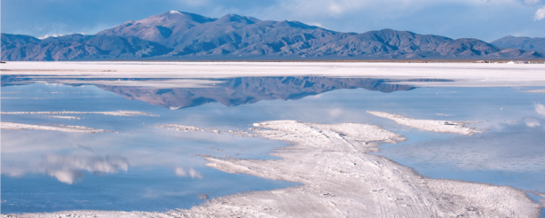 Foto - Yalova'da beyaz petrol bombası! Tüm Türkiye bu olaya kilitlendi