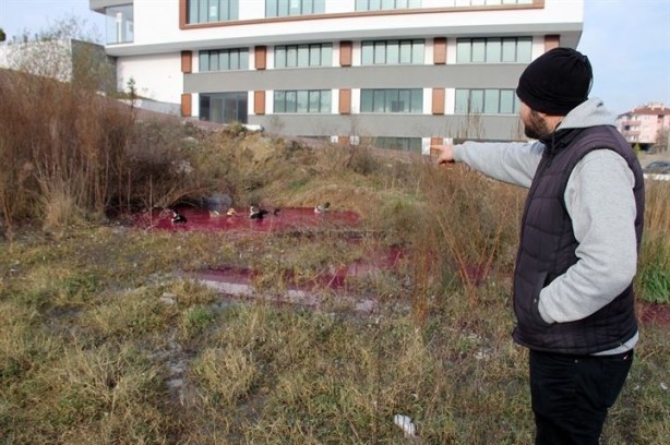 Foto - Yalova’da kırmızı su paniği yaşanıyor