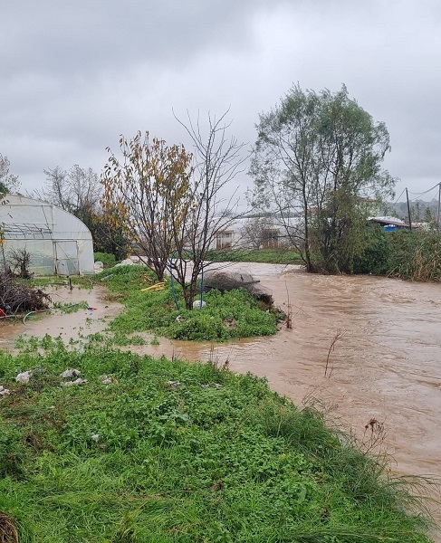 Foto - Yalova'da sokakları ve evleri su bastı