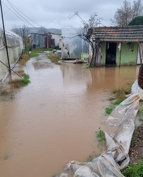 Foto - Yalova'da sokakları ve evleri su bastı