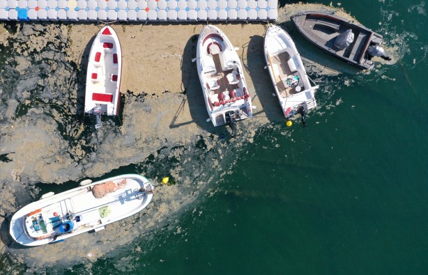 Foto - Yalova'dan sevindirici haber! Etkisini kaybetti