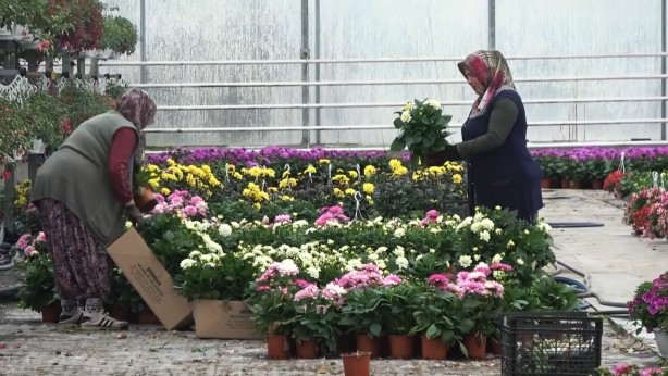 Foto - Yalova'nın 7 aylık ihracatı 268 milyon dolara ulaştı