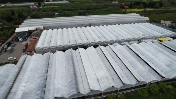 Foto - Yalova'nın 7 aylık ihracatı 268 milyon dolara ulaştı