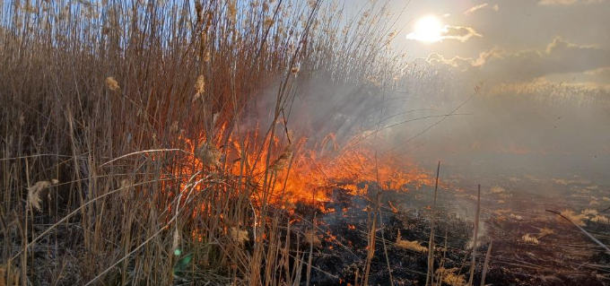 Foto - Yamadı Gölü yanıyor