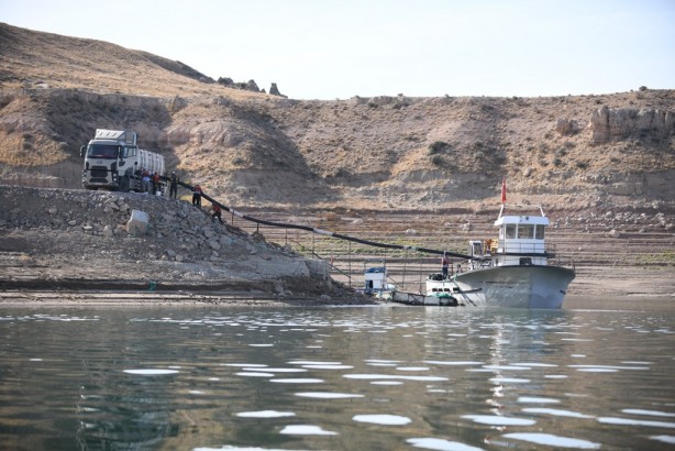 Yamula Barajı'nda bir ilk yaşandı! Tam 1400 adet yetiştirildi
