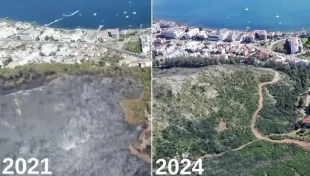 Foto - Yanan ormanlardaki otellere bakın otellere