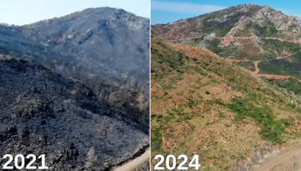 Foto - Yanan ormanlardaki otellere bakın otellere