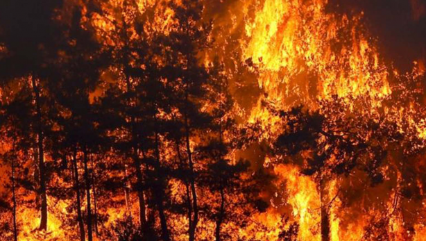 Yanan ormanlardaki otellere bakın otellere