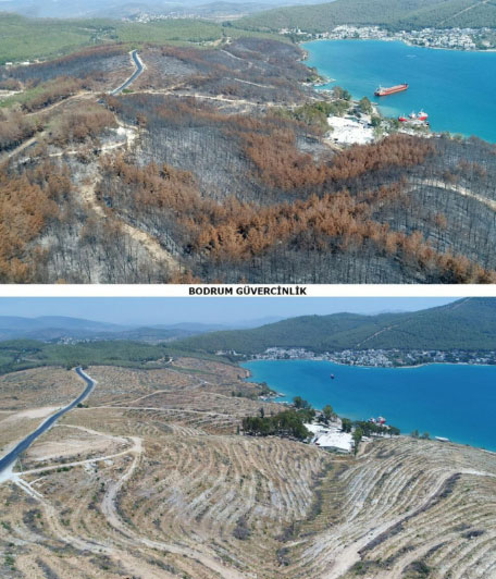 Foto - Yanan ormanlardaki otellere bakın otellere