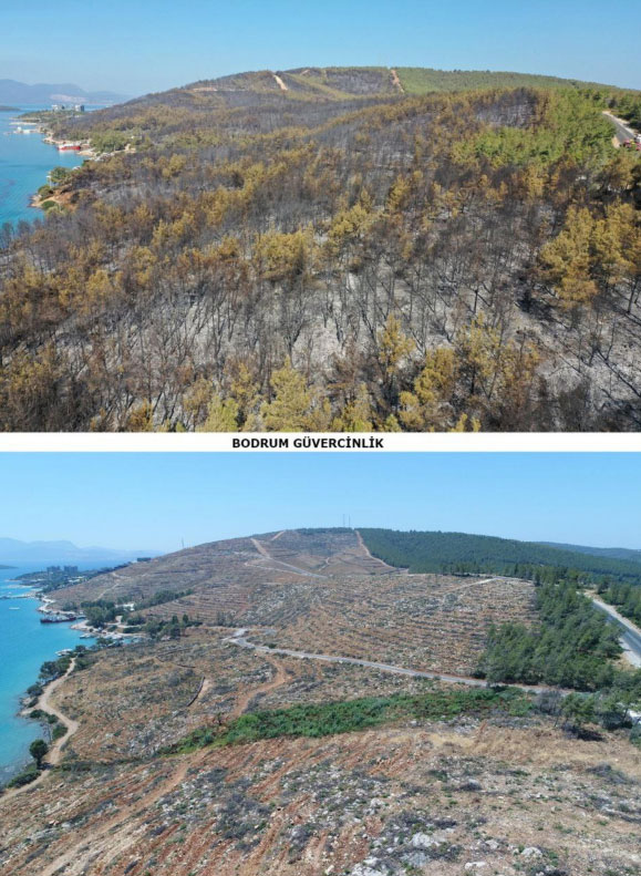 Foto - Yanan ormanlardaki otellere bakın otellere