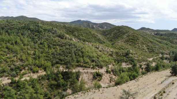 Foto - Yanan ormanlardaki otellere bakın otellere